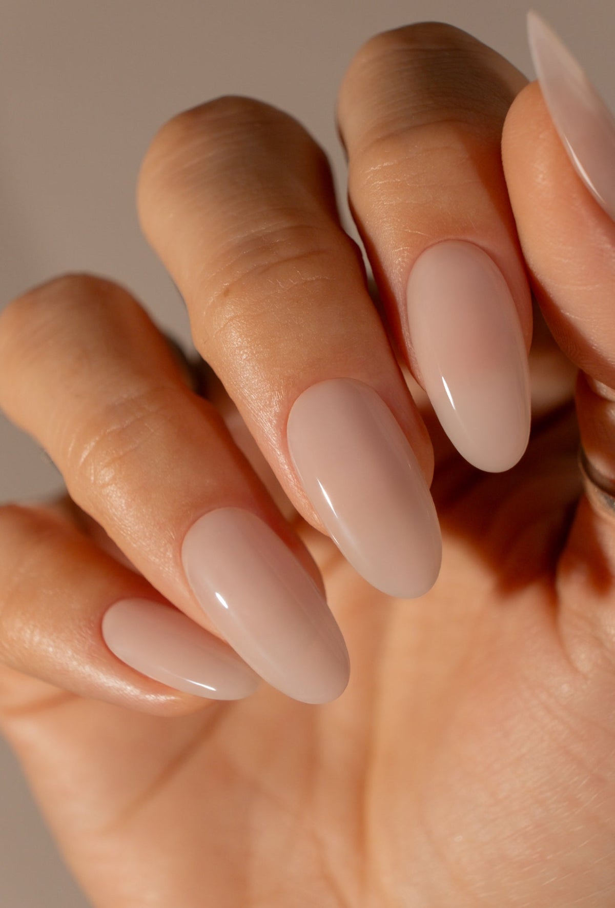 Seashell - HEMA FREE
