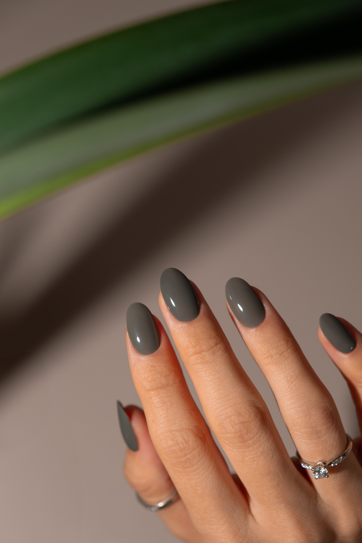 FERN - TPO-Free & HEMA-Free