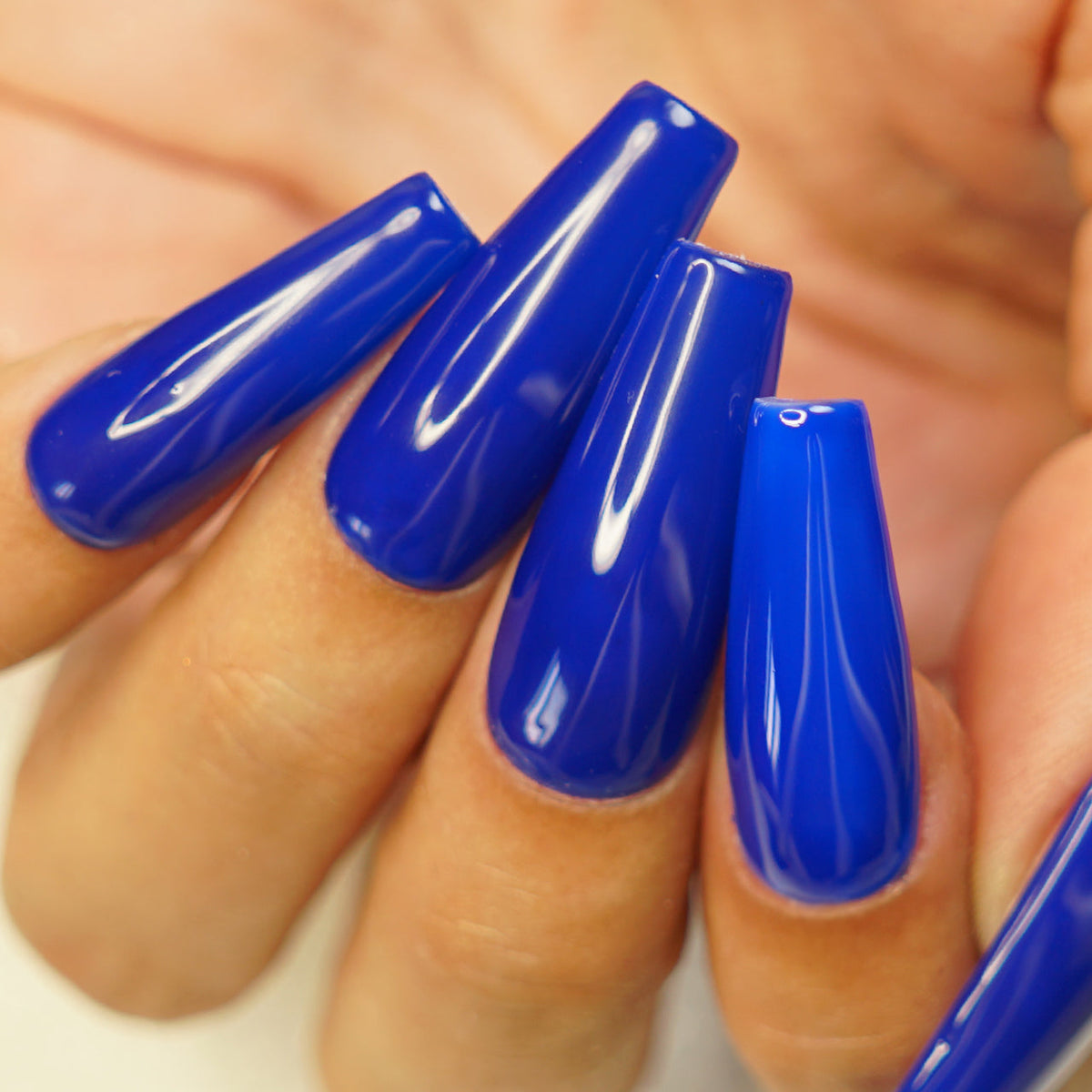 ROYAL BLUE